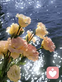 情绪的波动是心理活动的晴雨表，影响着我们的思维和行为。配图