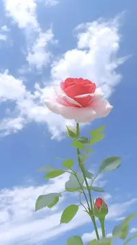 生活中的 10%是由發(fā)生在你身上的事情組成，而另外的 90%則是由你對(duì)所發(fā)生的事情如何反應(yīng)所決定。配圖