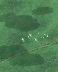 風是自由的，你也是。
生來普通卻獨yi無二，
喜歡自己比喜歡別人更重要，
好好愛自己，
就是向往自由的開始。配圖