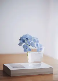 記得在這雜亂的生活里，
每天帶點微笑。配圖