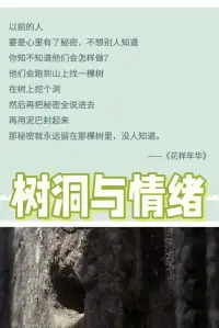 每個(gè)人心里都會(huì)有無處宣泄的秘密，如果你想傾訴時(shí)，我愿意當(dāng)你的“樹洞”，陪你聊聊你未曾言說的故事。配圖
