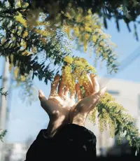 去爱那个“身体力行”的自己，
而不是那个“头脑想象” 的自己。配图