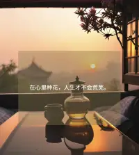 每个人身边都有一个磁场环绕
无论你在何处，磁场都会跟着你
而你的磁场也吸引着磁场相同的人和事配图