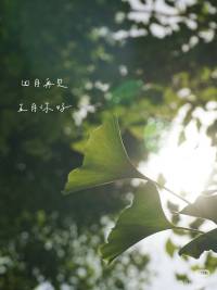 当我们努力使自己变得比现在更好的时候，
我们周围的一切也会变得更好。
——保罗·柯艾略