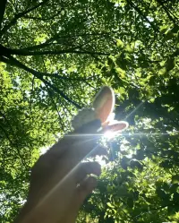 树不会追着给人荫凉，但它的树荫始终在那里。