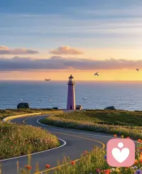 你可以一邊害怕，一邊勇敢向前。
恐懼里藏著你想要的奇跡。
正因為你有能力跨越，考驗才會降臨。
去做讓你害怕的事，害怕自然會消失。
不管什么事，決定了就去做。
允許自己笨拙的開始，不是只有完美才能啟航。配圖