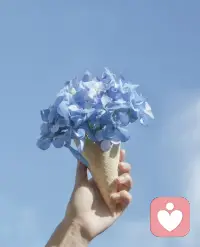 罗曼·罗兰说:
世上只有一种英雄主义,
就是在认清生活的真相后依然热爱生活。