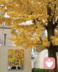 愿這個秋天，
所有的遺憾都能成為冬天驚喜的鋪墊。