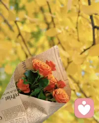 愿這個秋天，
所有的遺憾都能成為冬天驚喜的鋪墊。