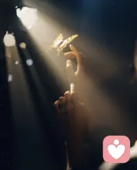 蜕变不是凭空发生的，
而是通过一系列挫折和反思才实現的。