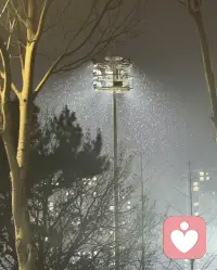 雪落下来的时候
没有一片是相同的
就像世界上没有相同的心事