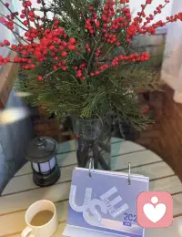 过往皆为序章，将来皆为可盼。
 2026—新年，新生，新心境。配图