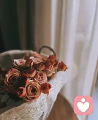 最深的连接，有时不是“我懂你”，
而是“我与你共享同一种沉默”。配图