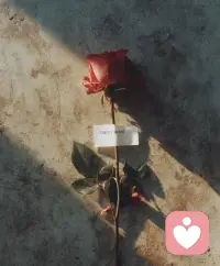 温尼科特说：
“不含诱惑的深情，不带敌意的坚决。”
关系最好的样子，是彼此真诚，又各自独立。配图