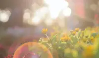 晚安，朋友們，對于我來說，休息好遠比接單重要的多啊！睡覺啦，想做催眠或是有問題咨詢請留言預(yù)約明天吧。配圖