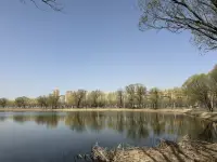 自我關(guān)懷就像一塊板接一塊板地建造自己的救生艇。一旦建成了自己的救生艇，即便面對(duì)生活的巨浪襲卷，但是它會(huì)讓你更有安全感、穩(wěn)定感～配圖