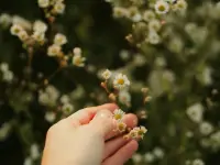 心理学家班杜拉在“自我效能感”理论中指出，一个人是否愿意尝试某件事，很大程度上取决于他是否相信自己能成功。配图