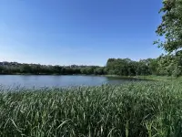 《被讨厌的勇气》里说的：“只要不关注任何人的动态，不揣测任何人的想法，不去设想一些没发生的事情，简单点，钝一点，慢一点，你会发现你过得很自在。”
一旦屏蔽力开始发挥作用，你会更专注自己、实现自我，或许这才是人生开挂的秘诀。“你把时间花在哪里，人生的花就开在哪里。”
世界和我爱着你。