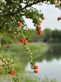 卡耐基在《人性的弱点》里写的：永远不要为别人的情绪买单。主动屏蔽不必要的负面情绪，因为我们不是救世主，不是非得为谁负责。
“任何消耗你的人和事，多看一眼都是你的不对。”要知道，你的体验，你的幸福才是你来到这个世界的目的。