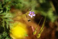 每一次的失控争吵，每一回的无助落泪，都在提醒我们：父母的认知边界，就是孩子成长的天花板。
当我们止步不前，用简单粗暴的方式 “灭火” 时，不仅在亲子关系上划出深深的伤痕，更悄然错过塑造孩子健全人格的黄金期，待醒悟时，或许已追悔莫及。