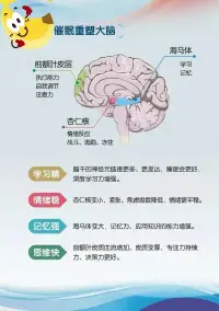 催眠重塑大腦的原理配圖