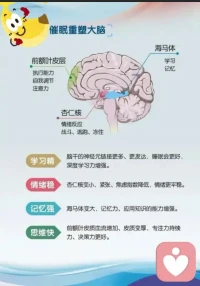 催眠重塑大腦。如果您有一些創傷需要療愈，歡迎一起探討。配圖