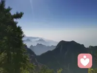 精神分析這樣描述婚姻的真相——

神父：你愿意嫁給他，深入虎穴，成為他媽他姐的替身，接受他二十八年累積的憤怒嗎?

她：我愿意。

神父：你愿意娶她，把你家變成主戰場，成為她爸她哥的替身，接受她二十六年累積的幻想、嫉妒和仇恨嗎?

他：我愿意。
神父：現在我宣布，你們正式結仇！配圖