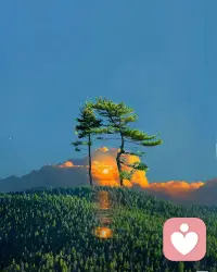 童年里得到的爱是长大后的光,可以照亮一生的山海。如果没得到太多也没关系,创伤里藏着我们的天赋资源,我们也可以自己滋养自己。