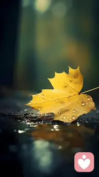 親愛的朋友，當您看到這條微博，或許正在因某事糾結，也或許因某人而情緒崩潰，不管怎樣，您需要的是解決問題的能力，而不是一直困在情緒里。配圖