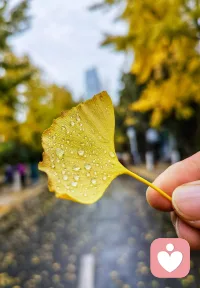把注意力還給自己，是最高級的成長。成長不是你學了多少知識，去過多少景區，結交了多少人脈，而是你能否長期穩定地收回注意力。你知道自己的狀態邊界、需求方向，開始為自己選擇，自主給情緒療愈。這種自我連接，是最深刻的改變。你開始真正擁有自己的生活，不再被外界左右，不再隨波逐流。配圖