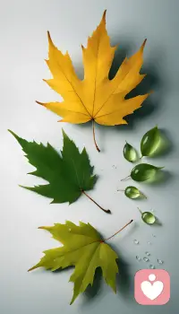 為什么人會在絕境中大徹大悟?因?yàn)榉畔铝怂械幕孟耄畔铝怂袑e人的期待。痛苦是開悟的唯一方式，背叛、欺騙、磨難都會把你內(nèi)在的脆弱小我狠狠摩擦，讓你萬念俱灰，心如死灰。這時候如果你熬過去了，原本脆弱無能玻璃心小我就會si掉，本自具足的真我，就會出現(xiàn)。你會變得非常理性，放棄過去，不再受困于他人，不再執(zhí)著于結(jié)果。配圖