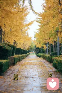 無論在什么情境下，伴侶都會給自己提供積極的回應，且回應質量高，真誠，回應頻率穩定，接近于一種“恒溫的愛”。或許這就是大多數人都能夠得到療愈的好的關系吧。配圖