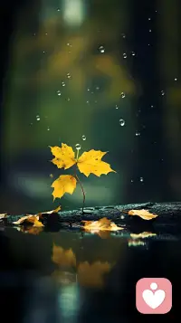 不要動用改變之心。慢一點。不要想去解決它，幫助來訪者看見自己，看見這個過程。咨詢師更多的是展現這個過程，而不是直接去解決問題。配圖