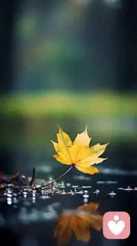 【致敬一位朋友】

至今，我還記得您的話
——不去停歇，只為那情感無法更改的執著。

若干年過去
您的內心是否依然涌動著愛的波濤？

是否在午夜的星光下
追憶那時那刻，曾經回眸一笑的美好？如我。配圖