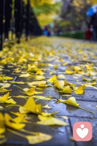 我們常常會陷入一種誤區，總是和別人比較，看到別人在某些方面比自己好，就會產生焦慮。但每個人都有自己的節奏和軌跡，也許你在事業上起步晚一些，但可能在家庭上收獲更多溫暖。配圖