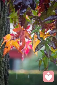 不要在小事上反復糾正孩子。不要當“糾錯”型父母。孩子有一點不符合你的心意，就不斷去否定，去糾正。探索是孩子的天性，你一旦反復糾錯，孩子畏畏縮縮，靈氣就蕩然無存。不斷糾正，會阻斷孩子的求知探索欲。孩子都是在犯錯中成長，養孩子，要“抓大放小”。大原則，關乎人品和安全，硬性要求，小事情，適當提醒提醒，孩子吃點苦，犯點錯，真沒壞處。配圖