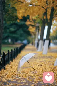 生命如此短暫，我們沒有時間爭吵、道歉、傷心。我們只有時間去愛。
                           
                                                        ——馬克?吐溫配圖