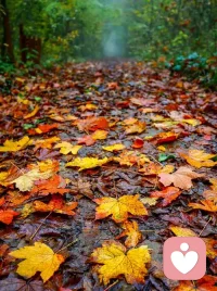 我允許，每一種情緒的發(fā)生，任其發(fā)展，任其穿過(guò)。因?yàn)槲抑溃榫w只是身體上的感受，本無(wú)好壞。越是抗拒，越是強(qiáng)烈。你可以允許自己在崩潰時(shí)掉眼淚，可以允許自己在疲憊時(shí)說(shuō)“我需要休息”，可以允許自己在憤怒時(shí)呼喊——因?yàn)槲覀兪紫瘸蔀樽约海拍艹删蛣e人。配圖