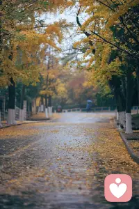 有時候總想滔滔不絕的講個沒完沒了，有時候即便地動山搖也想沉默到結(jié)出冰凌。每個人都不會以一種狀態(tài)活著，只要你安住在自己當下的狀態(tài)里，在其中自得其樂，未嘗不是一種好的生活方式。配圖