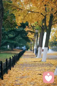 不要拿你的蟄伏期，去跟別人的高光時刻做比較，沒有任何人可以定義你的人生，大膽去走你自己的路，你的結局一定是好的，如果現在不好，那就是還沒到結局，請你務必，一而再，再而三，千次萬次毫不猶豫地，救自己于這世間水火。配圖