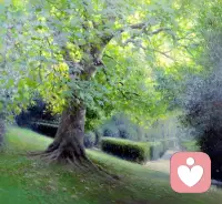 人生不如意十之八九，一定要學(xué)會看淡。這世上，誰也不能左右你的情緒，除了你自己。配圖