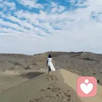 判斷父母是否成功的標準非常簡單，就是看孩子長大后愿不愿意回家。有愛的家庭，養出戀家的鳥;無愛的家庭，養出自由的鳥。配圖