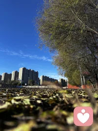 一個人在漫步
一個習慣了獨來獨往的人在漫步
一個習慣了獨來獨往的人，在太陽底下漫步。


想哭就哭，想笑就笑，想說就說出來吧
溫暖在不經意間
傷害也在不經意間，浮現——


你的臉，你的言語，你的童年、少年、青年、壯年或老年。


我這破碎不堪的人生啊
需要片片金黃的落葉，補丁一樣縫進我的靈魂。配圖