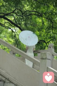 最可貴的能力，不在于知道多少。而在于你愿意發現并相信自己無知，安靜地開始，一步一步地走。不急著填滿答案，從最初的起點，耐心探索每一個陌生角落。直到危機，漸漸變成機會;直到未知，被走成了希望。知識可以儲備，面對無知的勇氣，才是最稀有的底氣。配圖