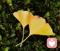 如果你自己不是一个内心平静、能制造快乐的人，你吸引来的，大概率也是同频的“匮乏者”。两个匮乏的人在一起，只会互相索取，最终把关系变成一场精疲力竭的内耗。