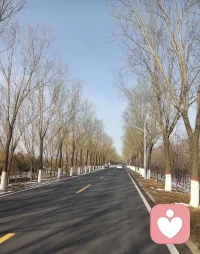 一個人開車回家，冬日寬闊的馬路讓心情也變得更加舒暢一些。我想，如果有來生，我或許會去當一個賽車手，我喜歡手握方向盤的感覺。每個人對自己的生活都希望有這樣一種掌控感，當偶爾的風急雨暴，讓我們悄悄偏離了最初的軌道，或許我們可以停在路邊稍作休息，等天氣晴好再去馳騁疆場。配圖