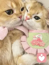 最高級的“撒嬌”，是忘記“撒嬌”這個詞本身。它不是你刻意執行的“任務”，而是當你感到絕對安全、被愛和幸福時，內心柔軟情感的自然流淌。配圖