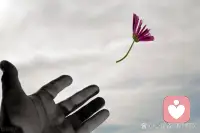 那个让你极度反感的人，其实是你的一面镜子。他身上展现出的特质（比如“爱表现”），恰恰是你潜意识里想做却不敢做，或者被你压抑了的部分。你恨的不是他，你恨的是那个“渴望被关注但被压抑”的自己。每一次情绪的失控，都是潜意识在喊话：“嘿，看看你自己吧，这部分能量属于你，把它收回来。”（摘）配图