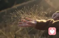 放假的感觉就是不一样啊～～～希望我在，你也在，生活就没有什么能把我们打败。配图