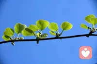 不管前面的路有多艰辛，我们一定要笑着走下去。配图